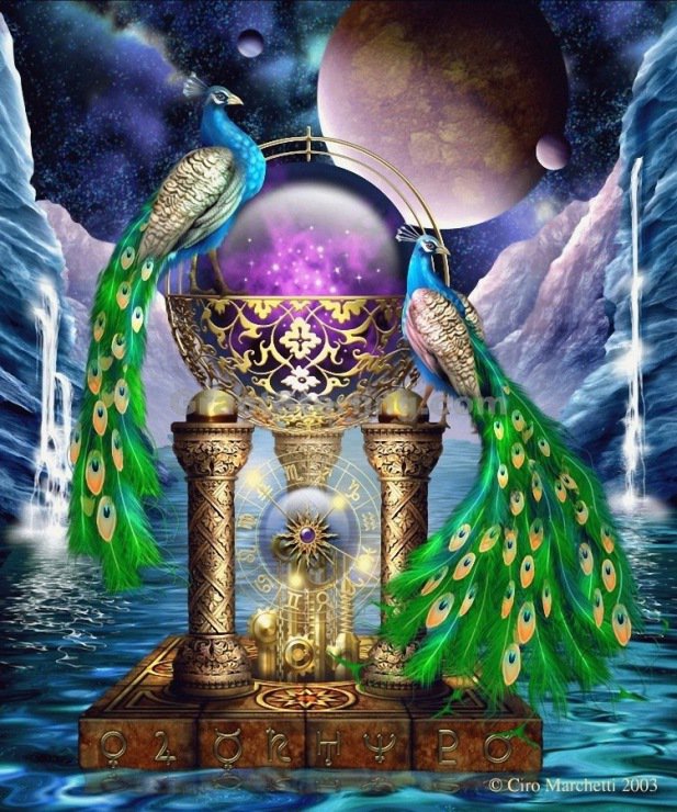 серия ,,павлины" - птицы.павлины - оригинал