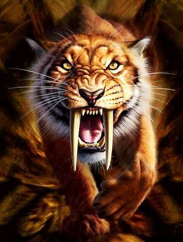 №759575 - оригинал