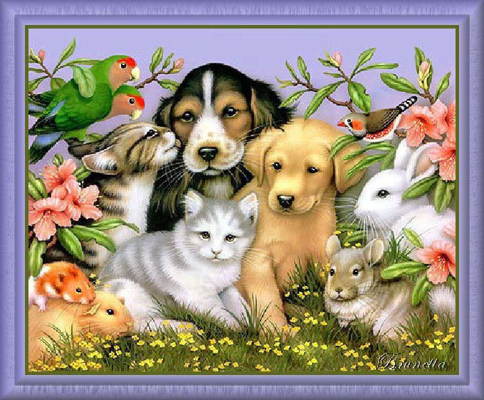 №759676 - оригинал