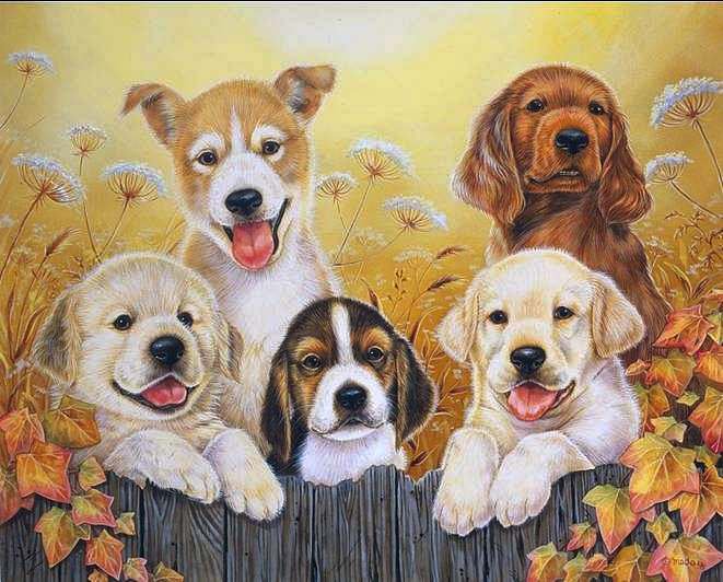 №759706 - оригинал