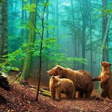 Схема вышивки «Мишки не Шишкина.»