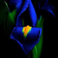 Схема вышивки «№760240»