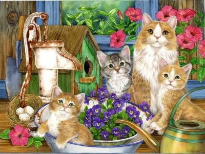 котики - коты, скворечник, животные, картина, котята, кошки, кошка, котенок - оригинал