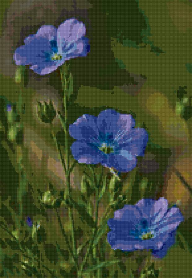 №760715 - открытка, природа, цветы - предпросмотр