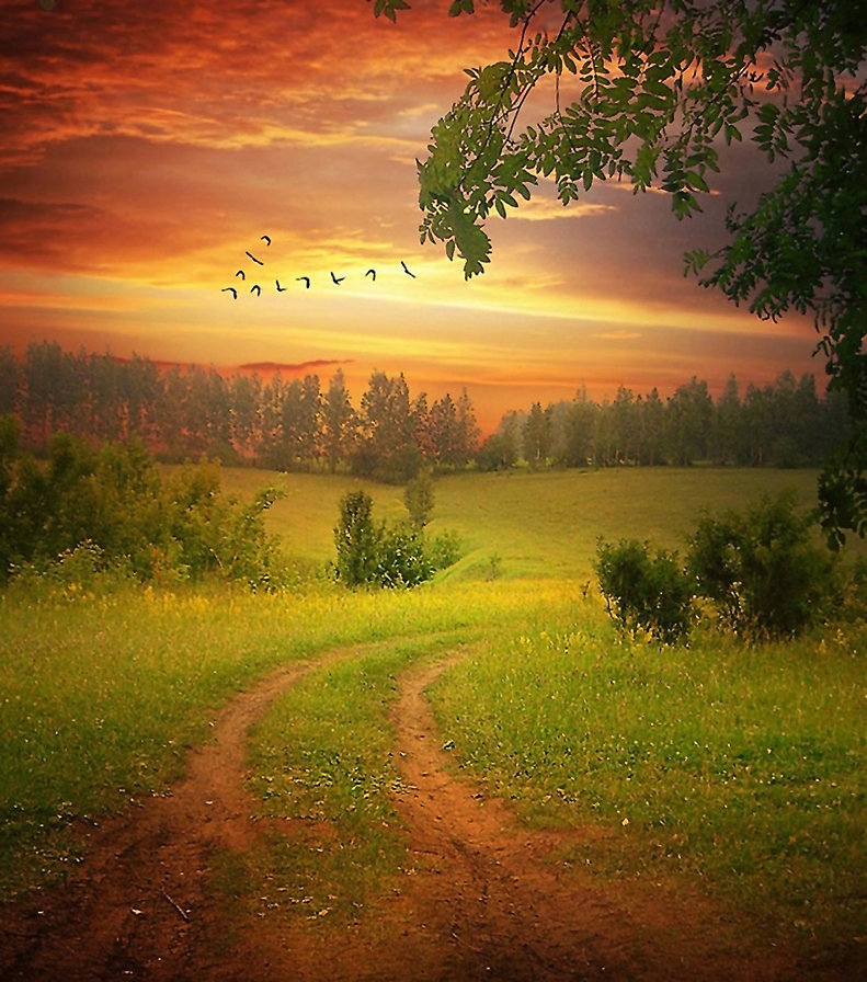 Закат - оригинал