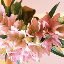 Схема вышивки «№760887»