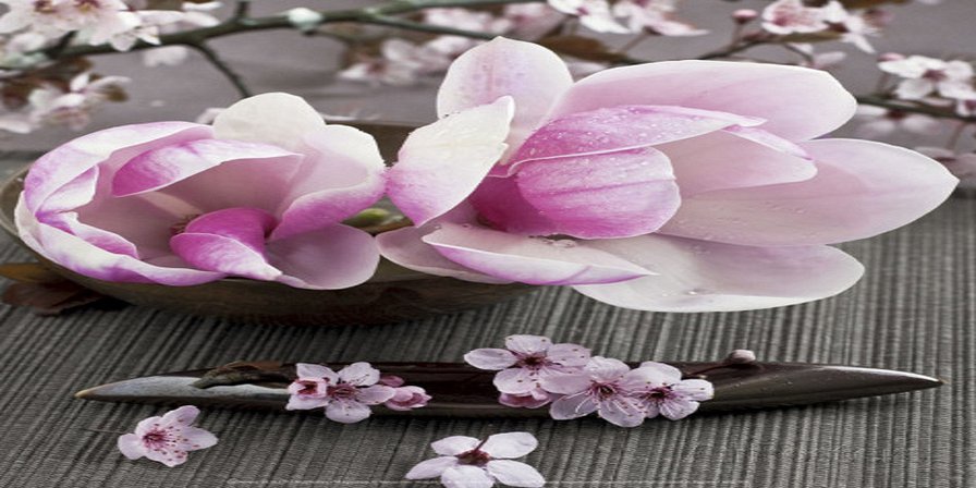 Магнолия - оригинал