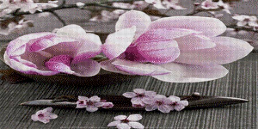 Магнолия - предпросмотр