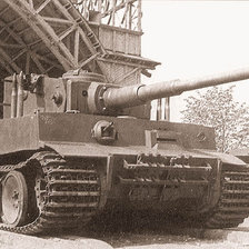 Схема вышивки «тигр 1»