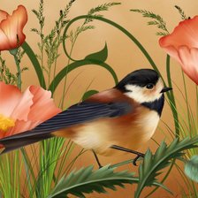 Схема вышивки «птица и цветы»