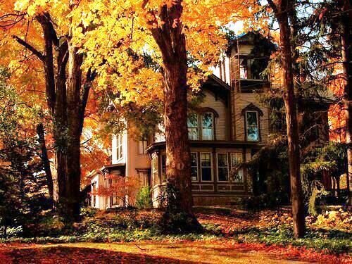 10 - осень - оригинал