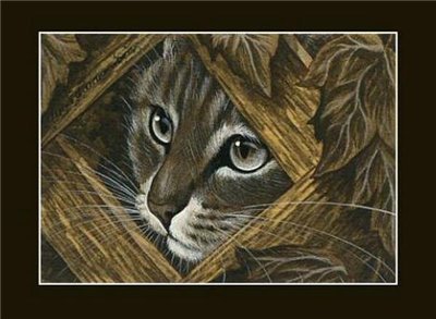 коты - животные, кошка, кот - оригинал