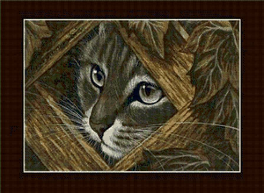 коты - животные, кот, кошка - предпросмотр