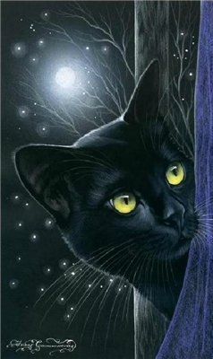 коты - животные, кот, кошка - оригинал