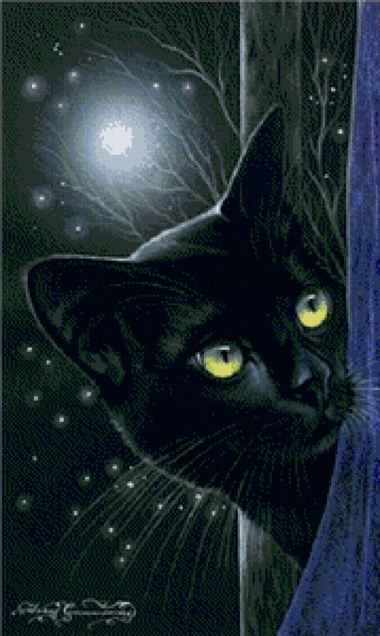 коты - кошка, животные, кот - предпросмотр