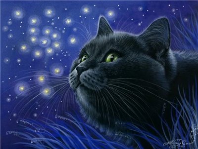 коты - животные, кот, кошка - оригинал