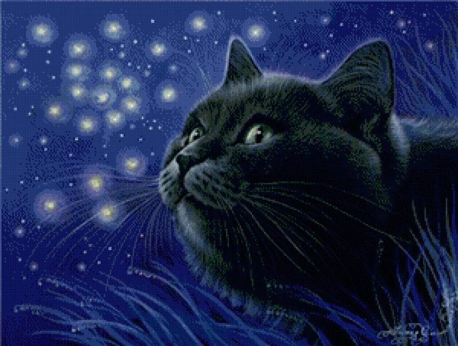 коты - животные, кошка, кот - предпросмотр