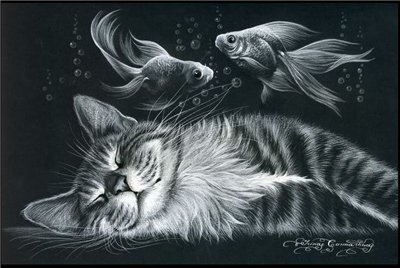 коты - кот, животные, кошка - оригинал