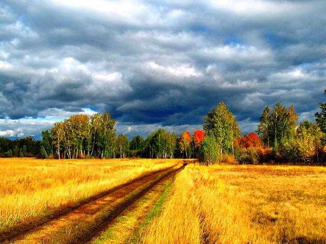 21 - осень - оригинал