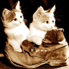 Схема вышивки «сидим в ботинке»