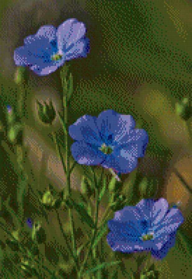 лен - цветы - предпросмотр