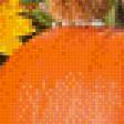 Предпросмотр схемы вышивки «фрукты и овощи» (№761751)