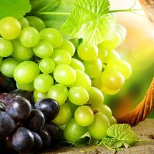 виноград