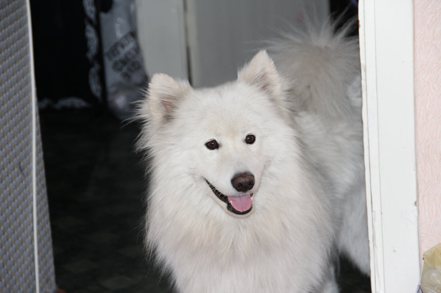 №761960 - оригинал