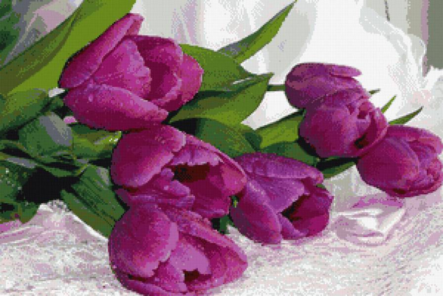 тюльпаны - тюльпаны, цветы - предпросмотр