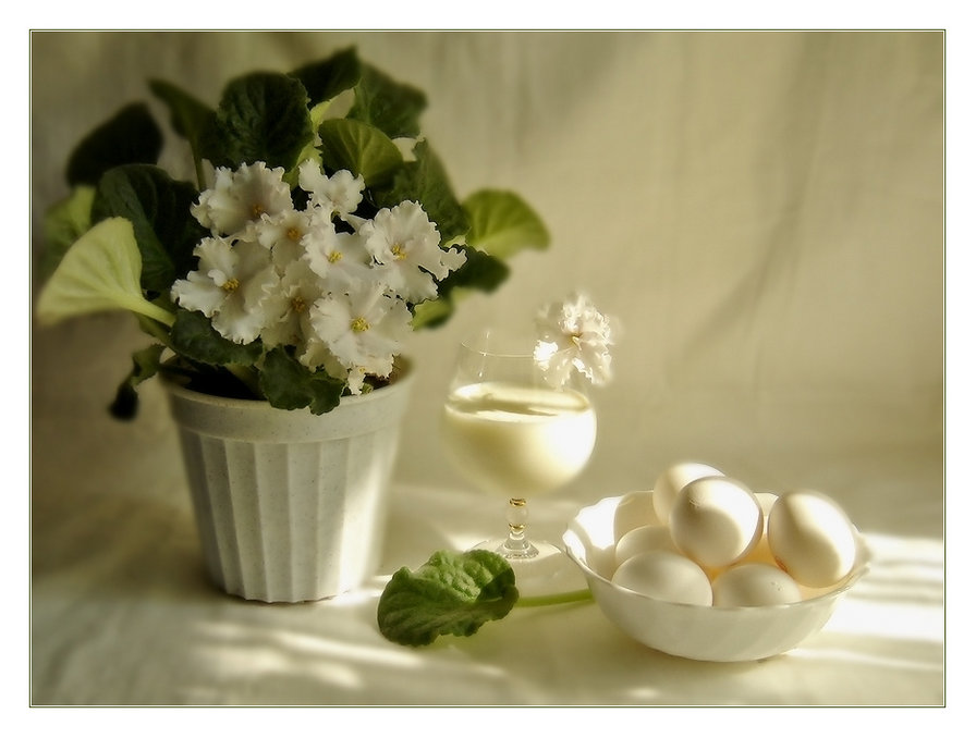 натюрморт с фиалкой - белое, натюрморт, цветок, молоко, яйца, фиалка - оригинал