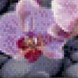 Предпросмотр схемы вышивки «орхидеи» (№762516)