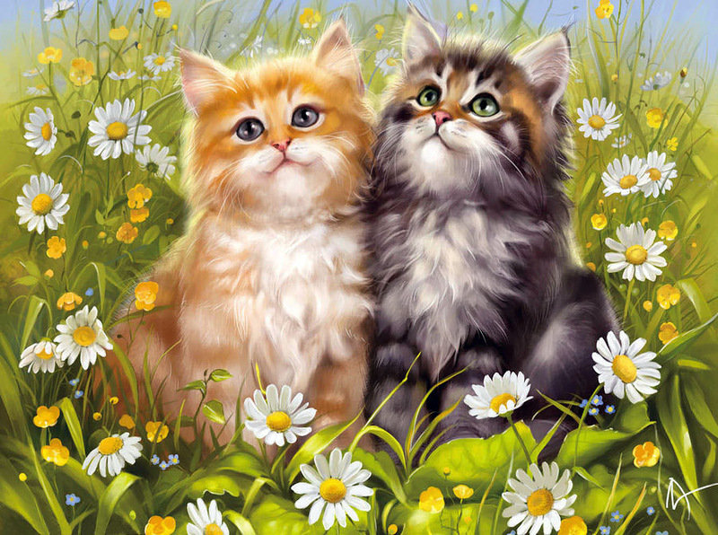 два брата акробата - котята, котики, коты - оригинал