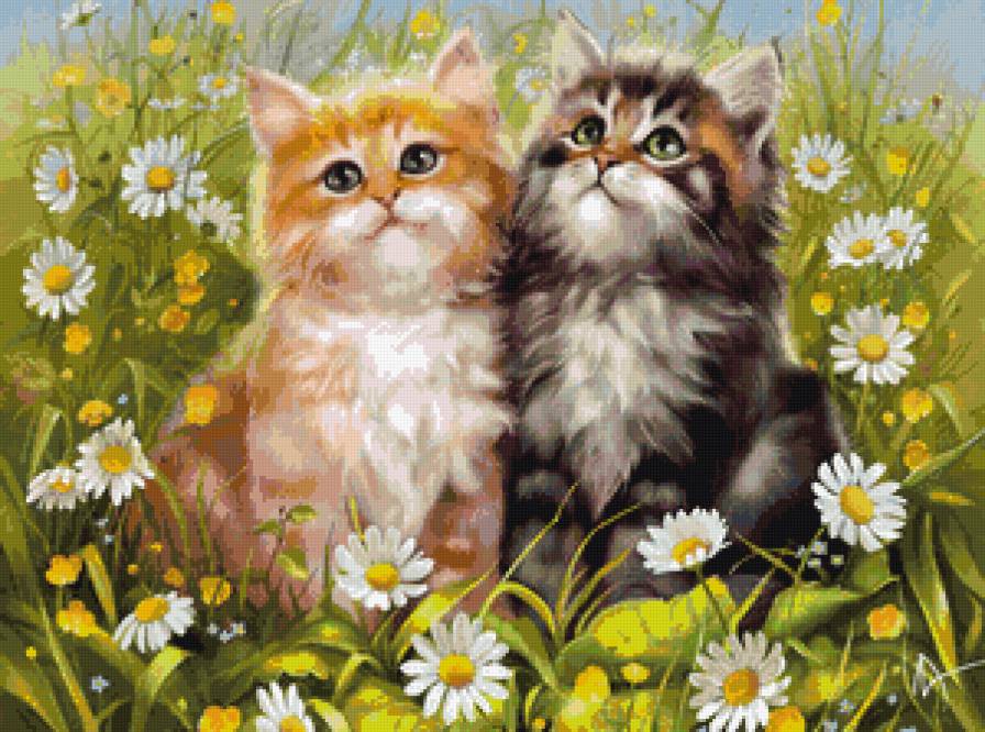 два брата акробата - котята, коты, котики - предпросмотр