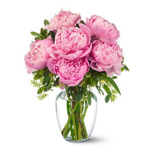 Схема вышивки «піони»