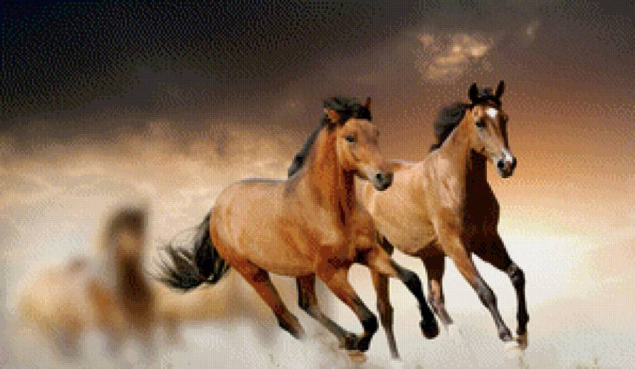 лошади - лошади, кони - предпросмотр