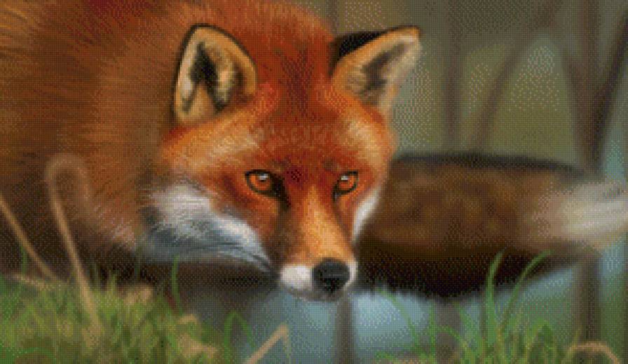 лиса - животные, лиса - предпросмотр