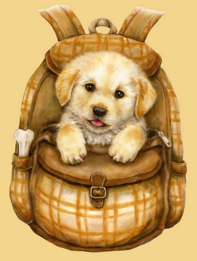 Чаппи в рюкзаке - собака, детское, идея для подушки - оригинал