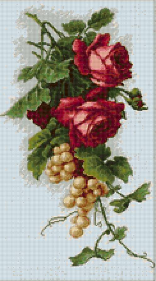 Rosas y Uvas - flores - предпросмотр