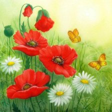 Бабочки в маках