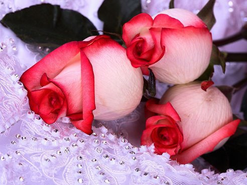 getImageKPXEXUK4 - оригинал