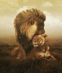 Царь - оригинал