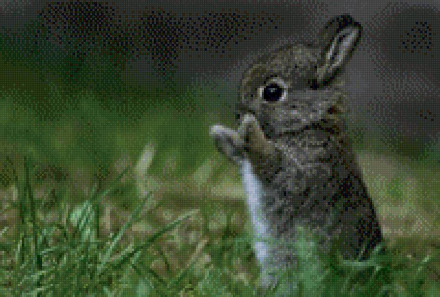 №763468 - предпросмотр