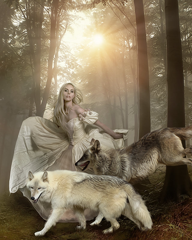 Невеста - волк, девушка, природа, лес - оригинал