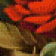 Предпросмотр схемы вышивки «серия "розы"» (№763638)