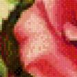 Предпросмотр схемы вышивки «серия "розы"» (№763654)