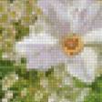 Предпросмотр схемы вышивки «нежность» (№763660)