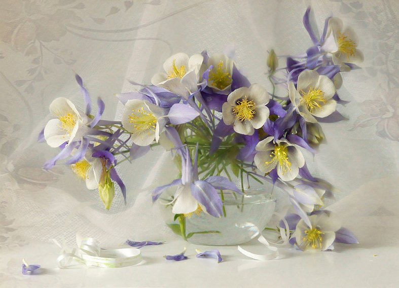 фиалки - оригинал