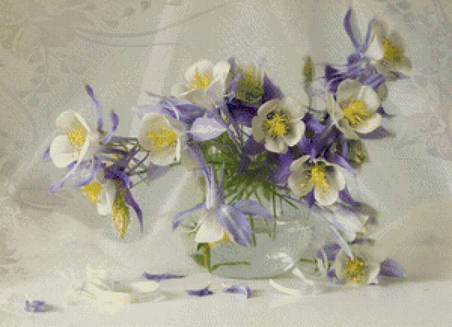 фиалки - предпросмотр