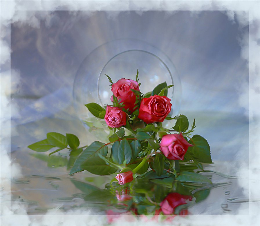 алые розы - оригинал