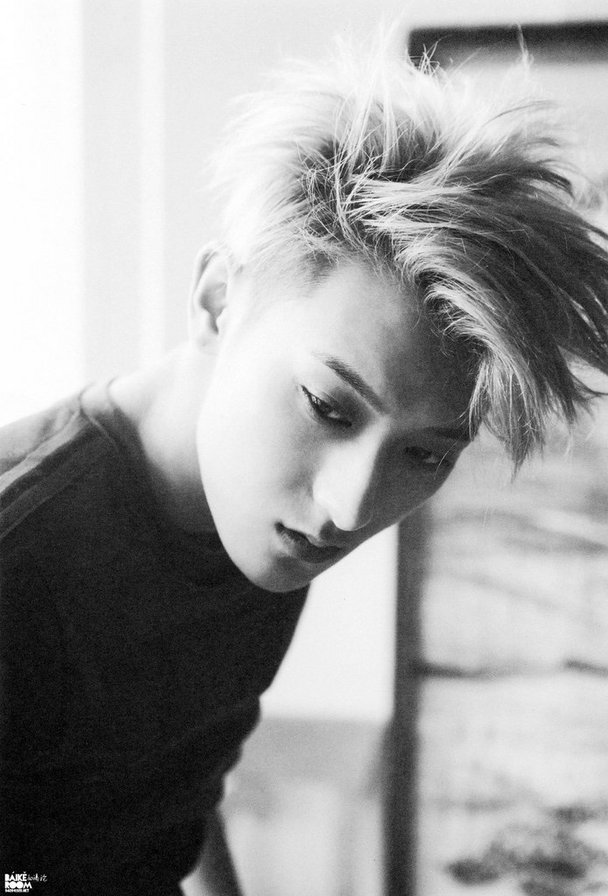 Tao DIE JUNGS - exo m, tao, exo - оригинал